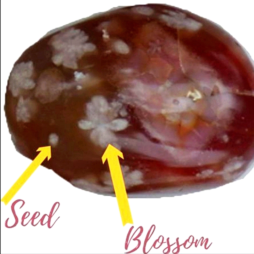 Black Flower Agate aka Sakura High Quality Tumble Stone - Picture 3 of 14